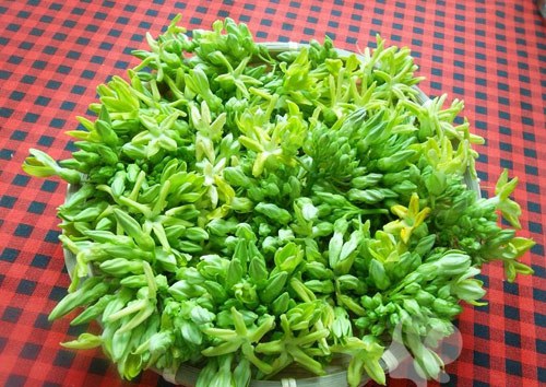canh-cua-nau-hoa-thien-li-thanh-mat-ngot-lim-ngay-he canh-cua-nau-hoa-thien-li-thanh-mat-ngot-lim-ngay-he